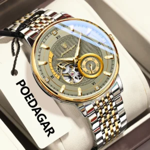 POEDAGAR Top Luxury Man Wristwatch Luminous Hollow Tourbillon Stainless Steel Men Clock Mechanical Automatic Men's Watches Reloj